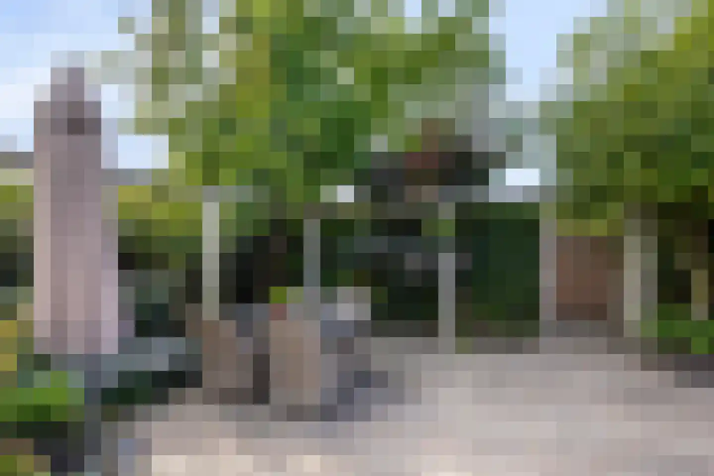 Hoofdstraat 166 a Herveld thumbnail 57