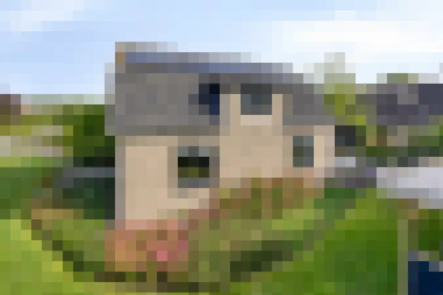 Hoofdstraat 166 a Herveld thumbnail 66
