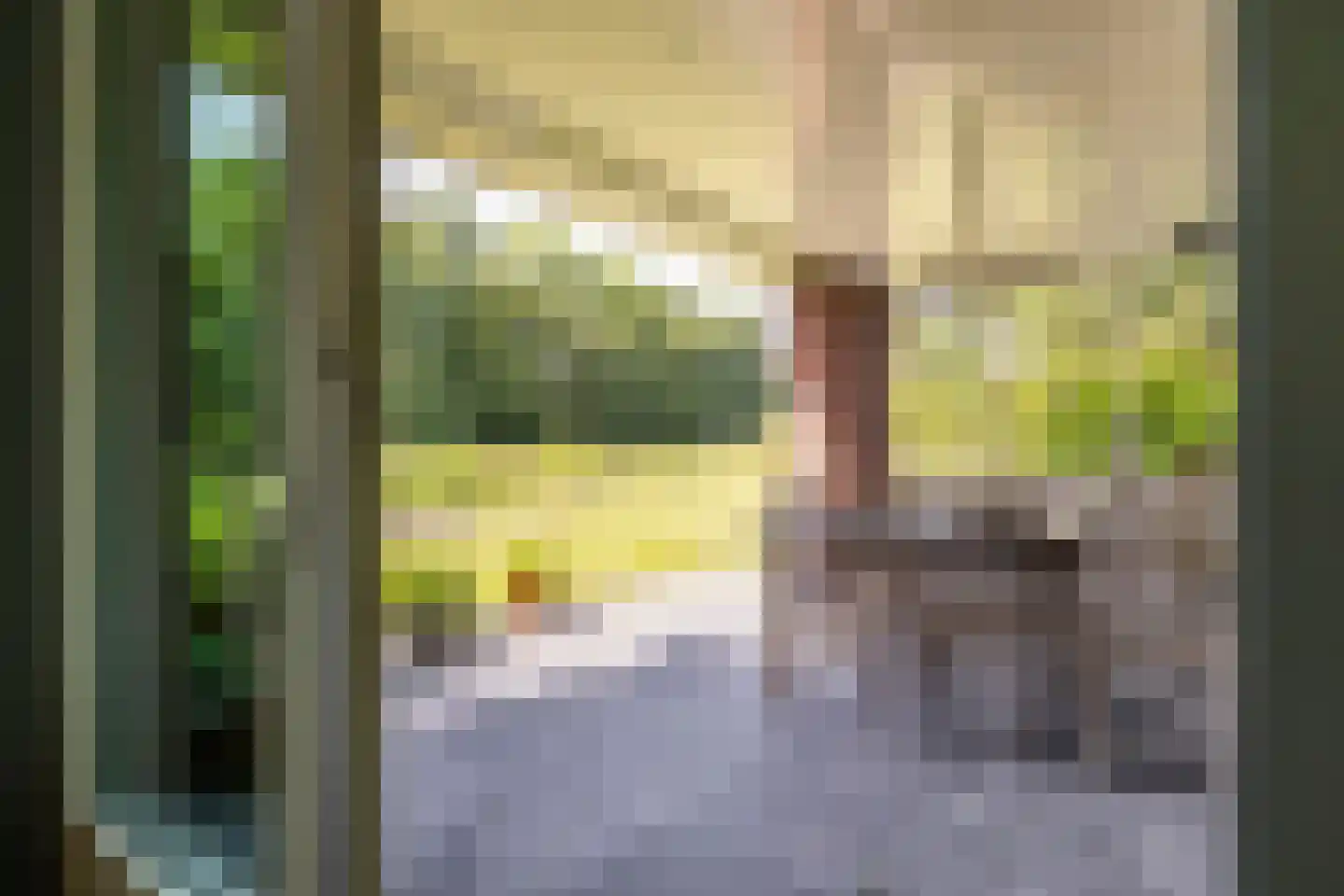 Hoofdstraat 167 Lettelbert thumbnail 16