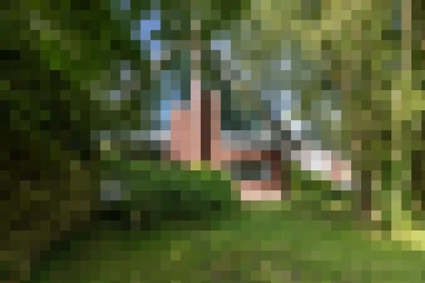 Hoofdstraat 167 Lettelbert thumbnail 5