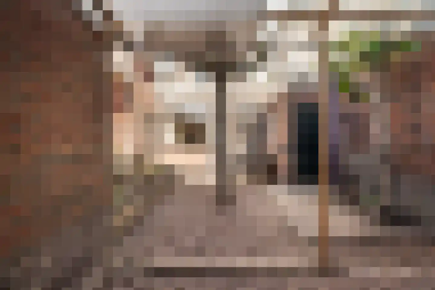 Hoofdstraat 168 a Sassenheim thumbnail 25