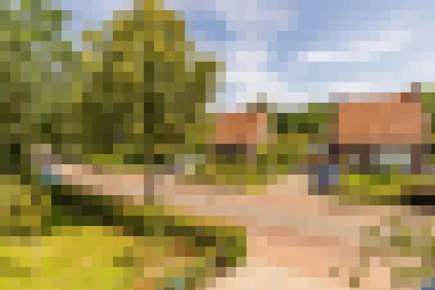 Hoofdstraat 168 Zuidwolde thumbnail 34