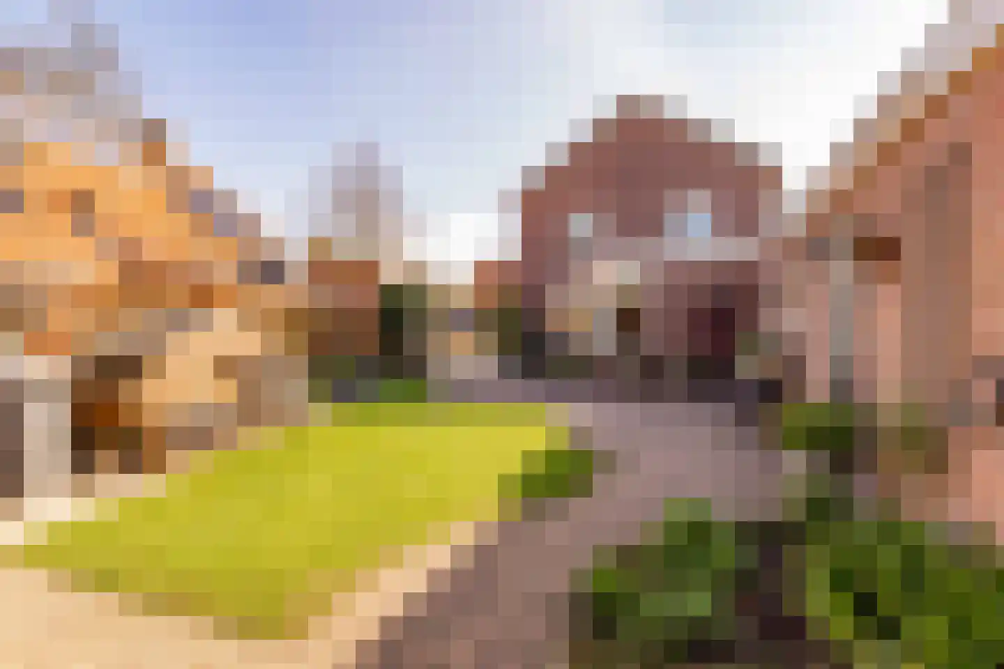 Hoofdstraat 168 Zuidwolde thumbnail 47