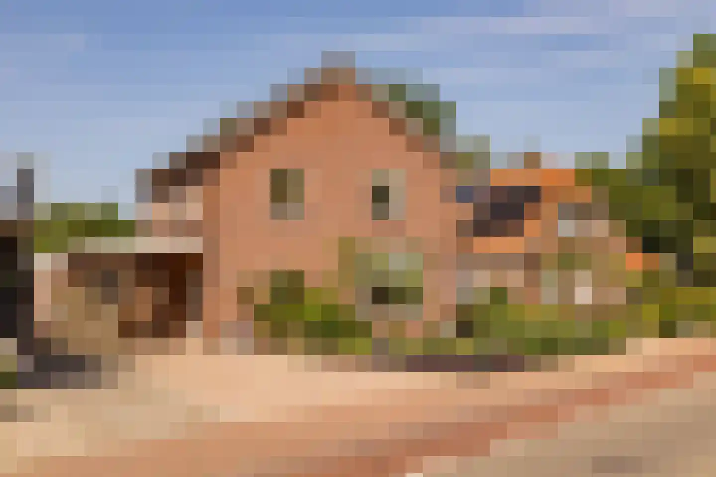 Hoofdstraat 168 Zuidwolde thumbnail 5