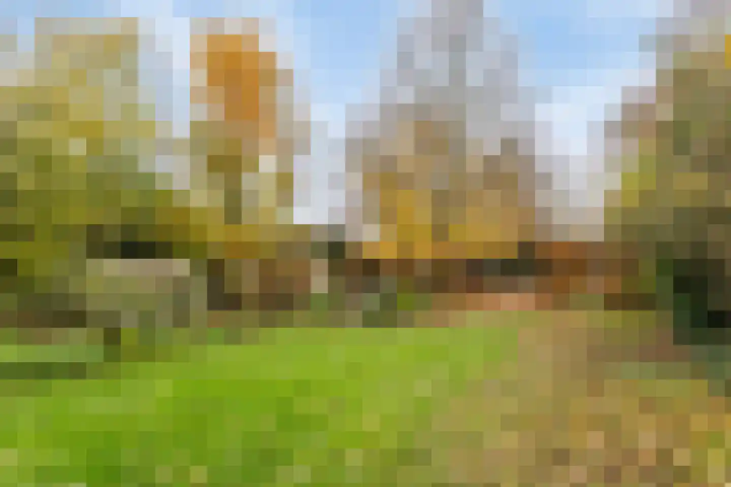 Hoofdstraat 17 c Rolde thumbnail 4