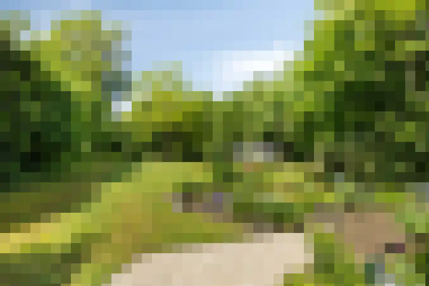 Hoofdstraat 17 d Rolde thumbnail 35