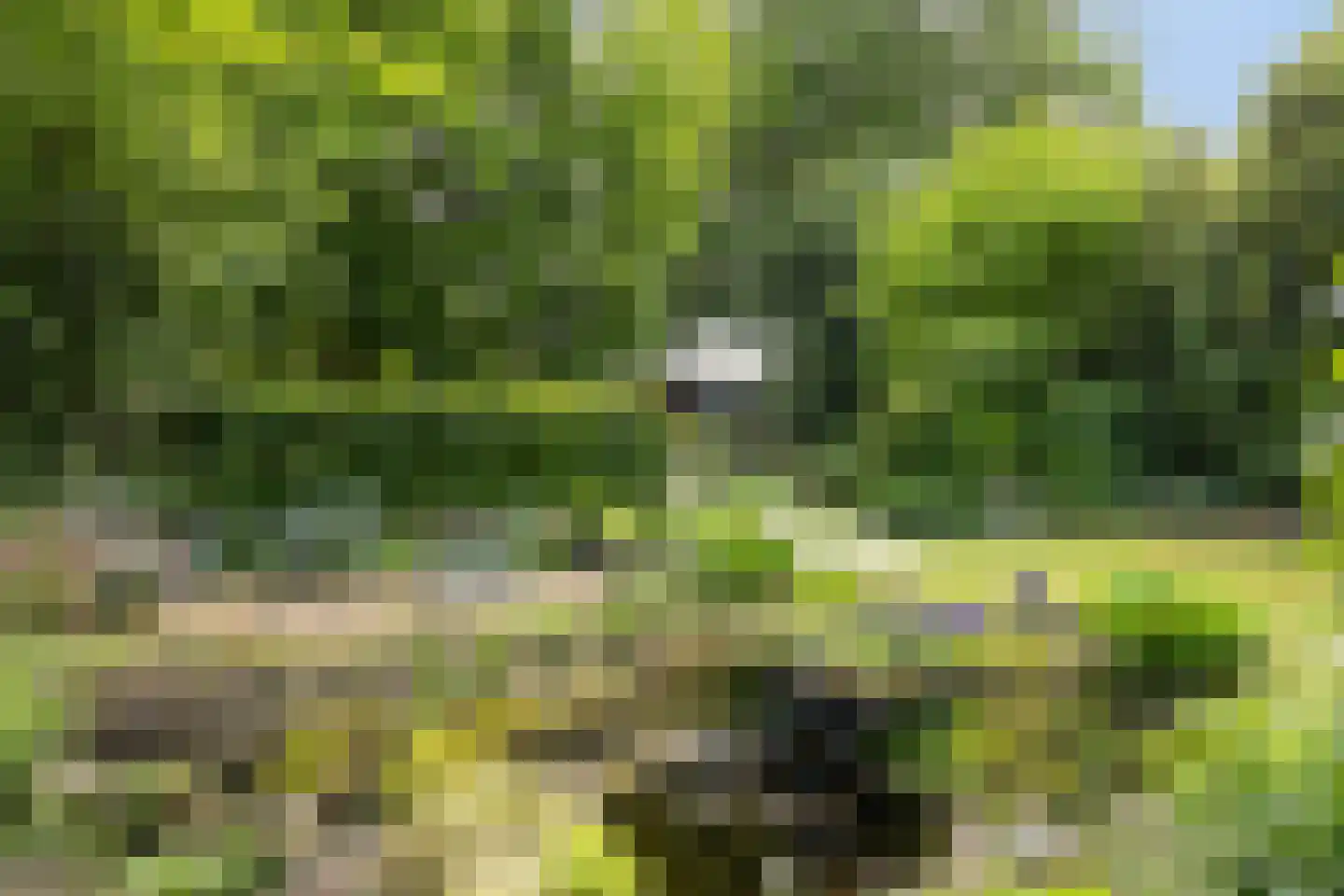 Hoofdstraat 17 d Rolde thumbnail 39