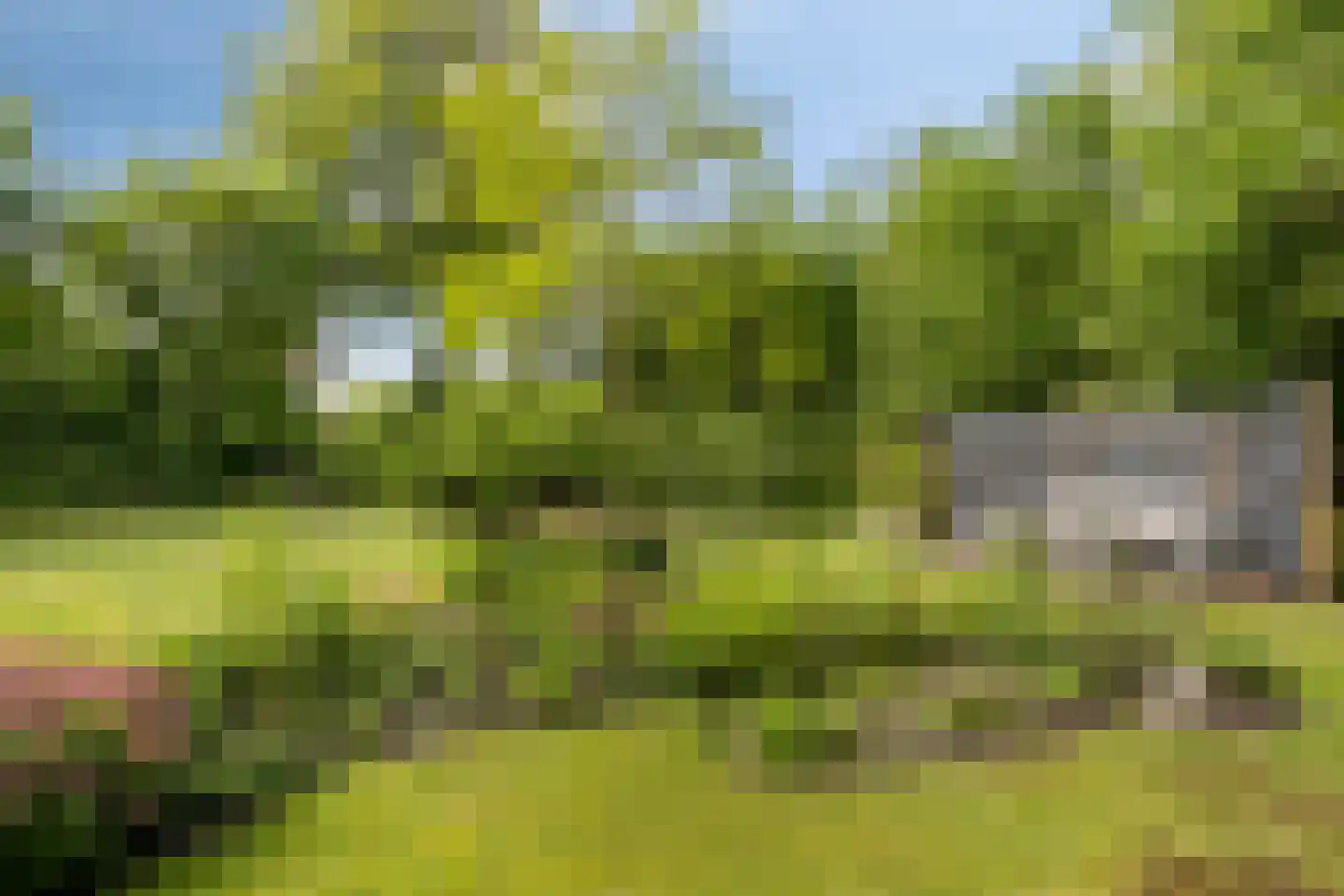 Hoofdstraat 17 d Rolde thumbnail 40