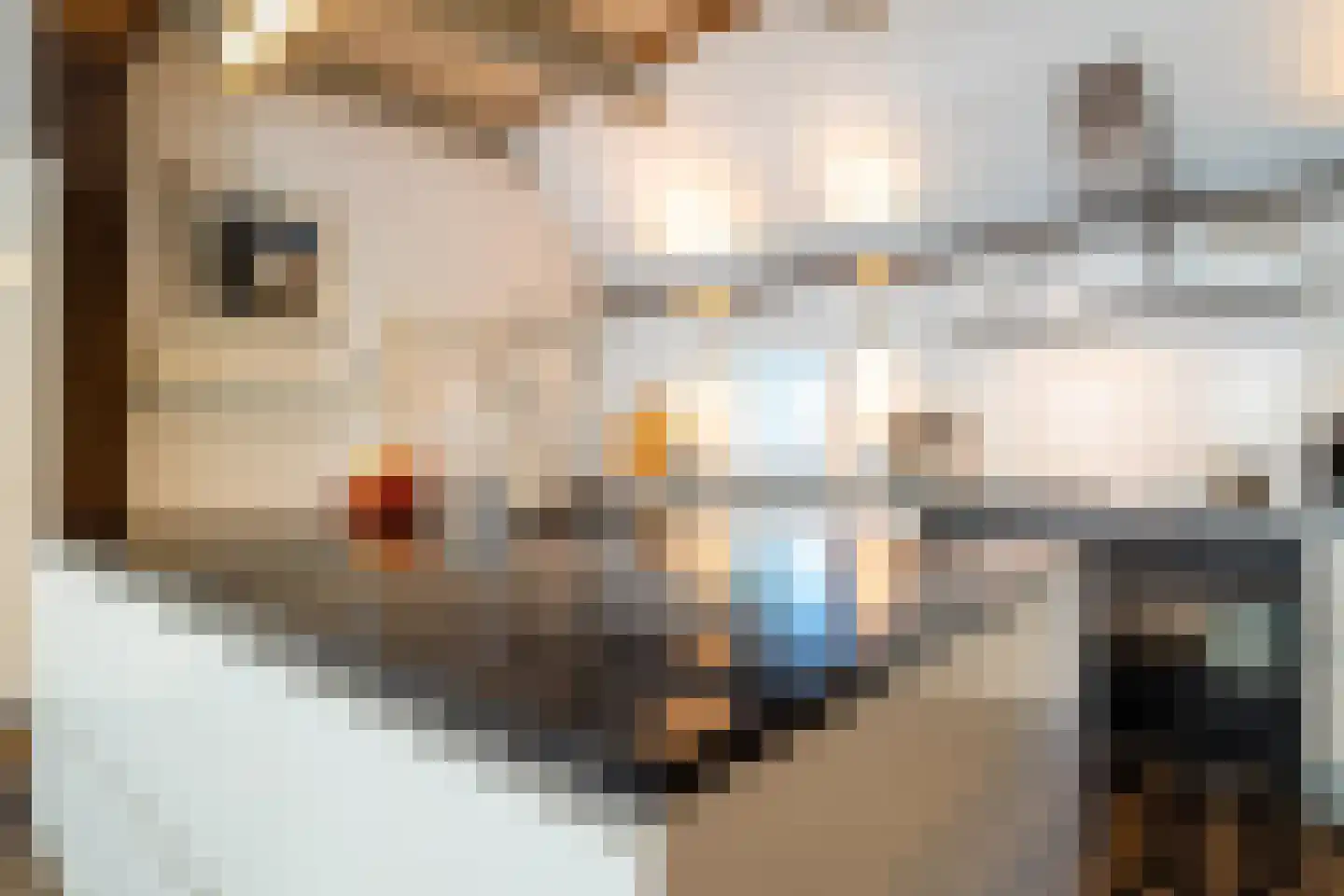 Hoofdstraat 17 Ekehaar thumbnail 28
