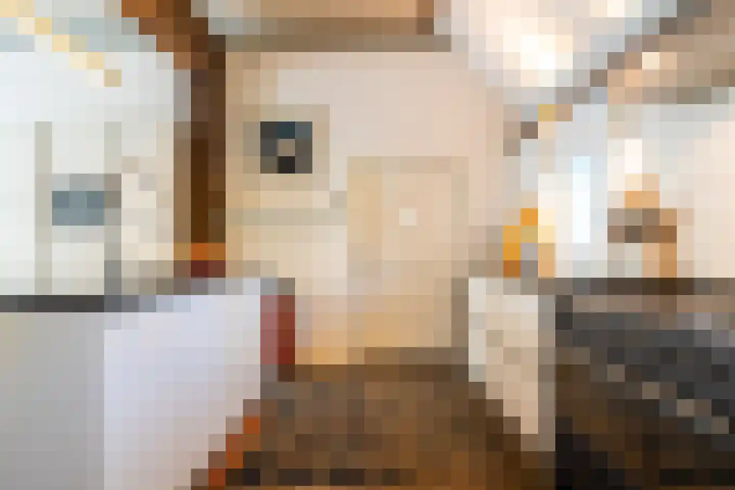 Hoofdstraat 17 Ekehaar thumbnail 29