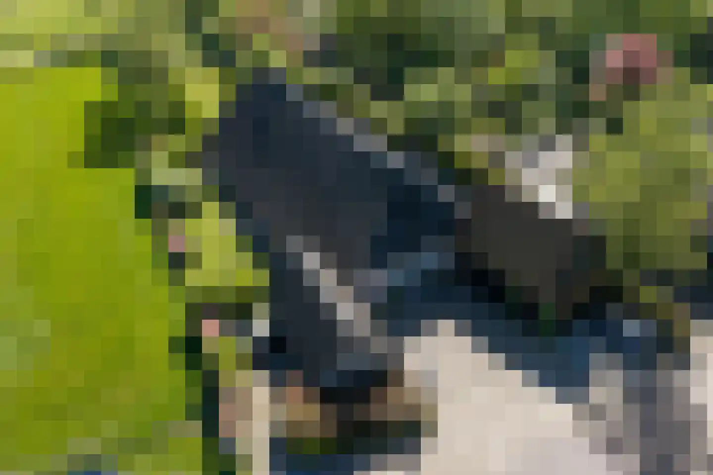 Hoofdstraat 17 Ekehaar thumbnail 4