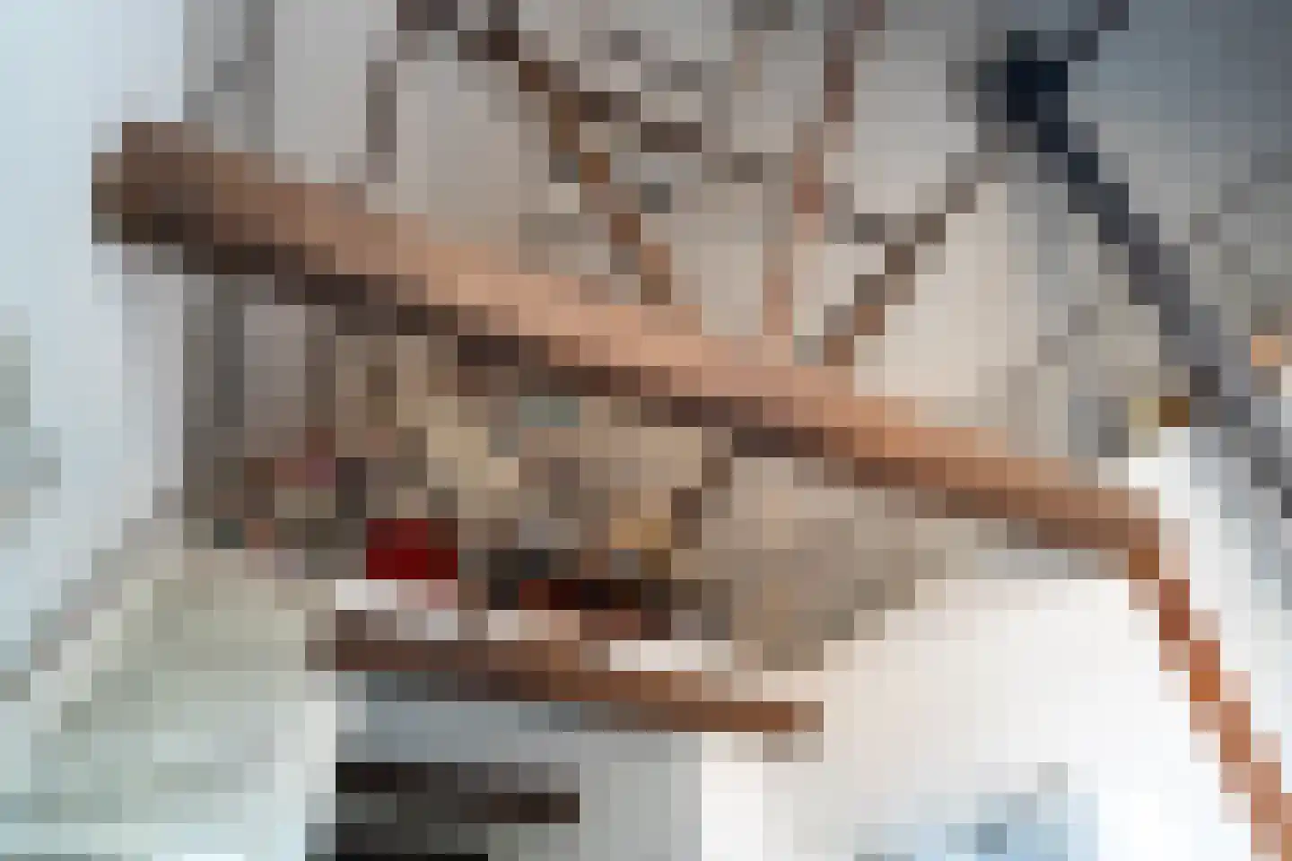 Hoofdstraat 17 Ekehaar thumbnail 45