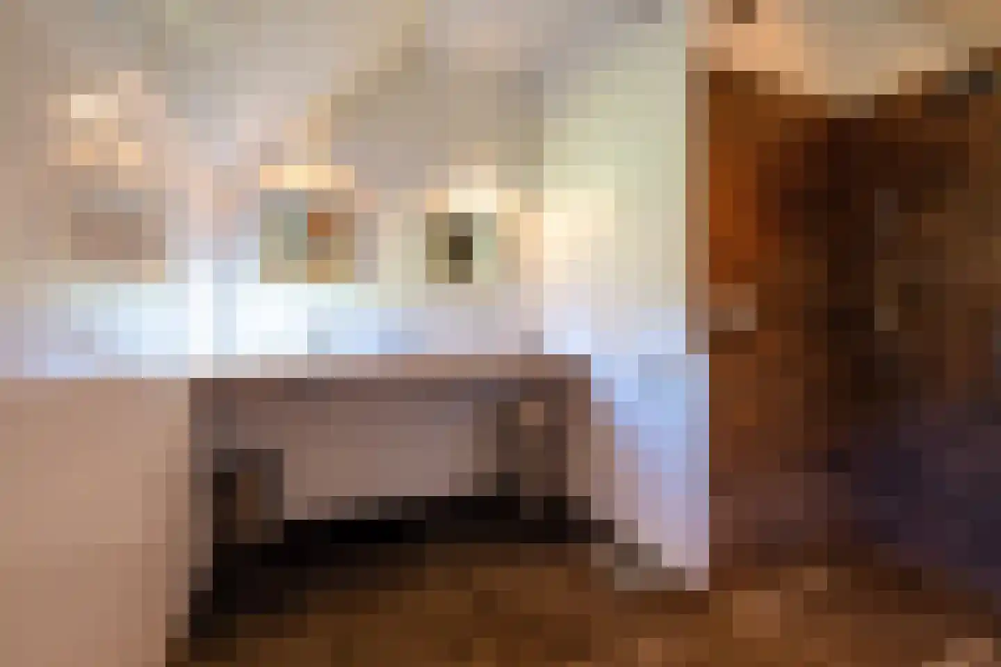 Hoofdstraat 17 Ekehaar thumbnail 54