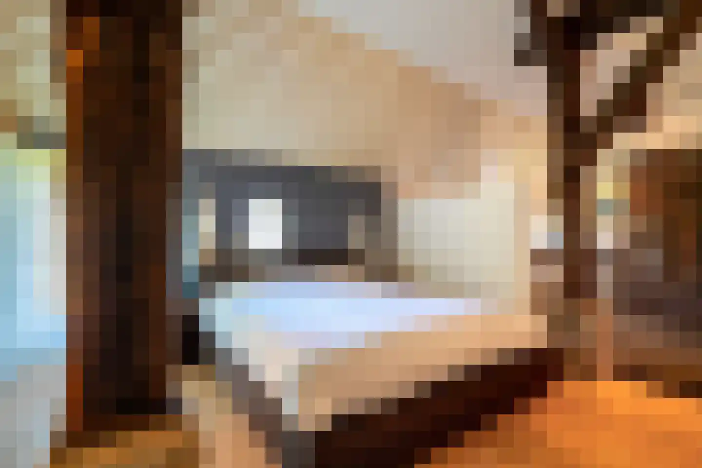 Hoofdstraat 17 Ekehaar thumbnail 8