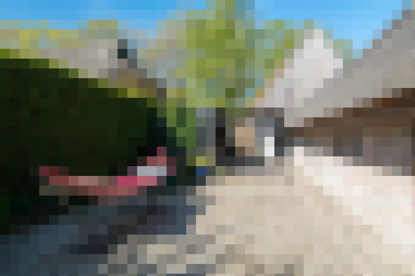 Hoofdstraat 17 Ekehaar thumbnail 80