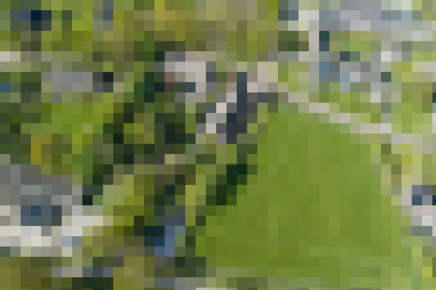 Hoofdstraat 17 Ekehaar thumbnail 92