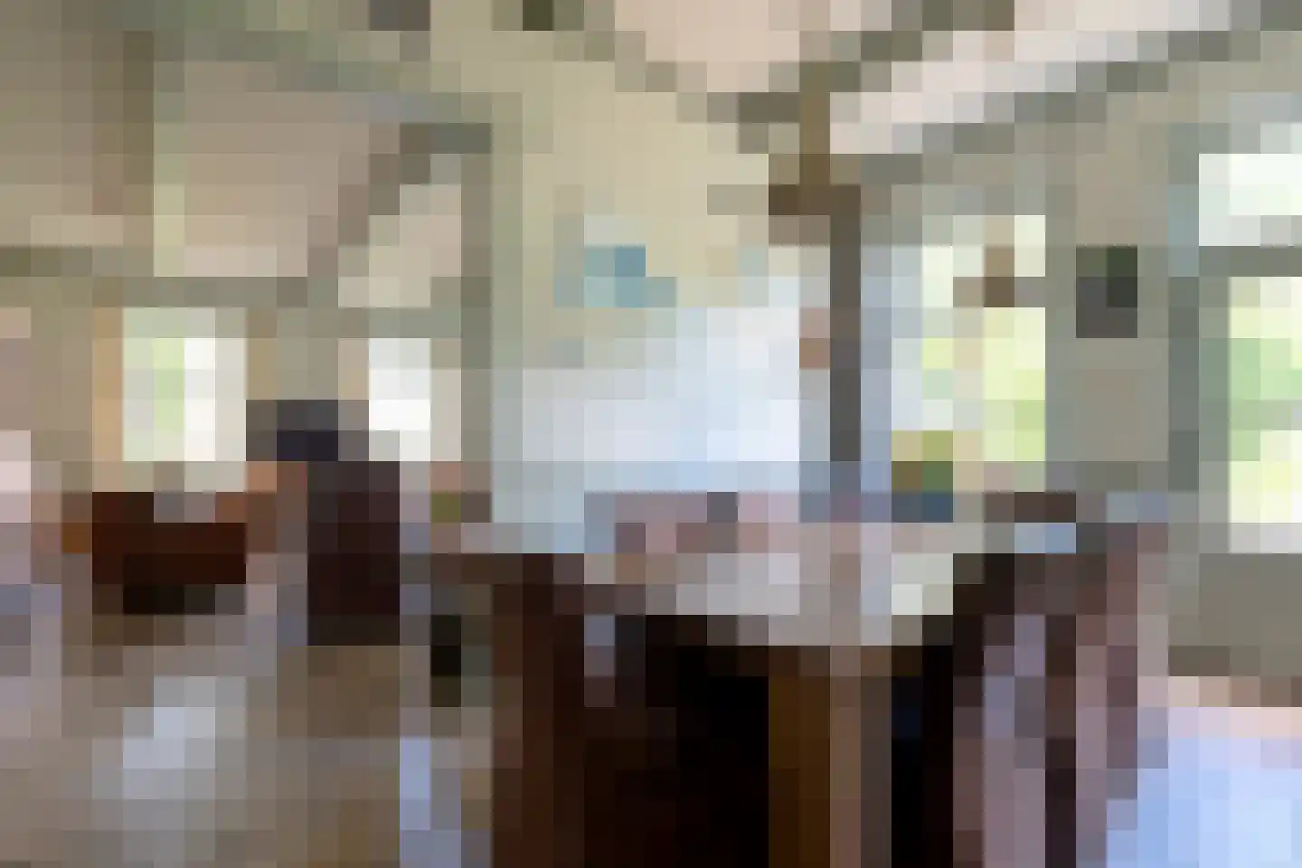 Hoofdstraat 17 Zwiggelte thumbnail 18