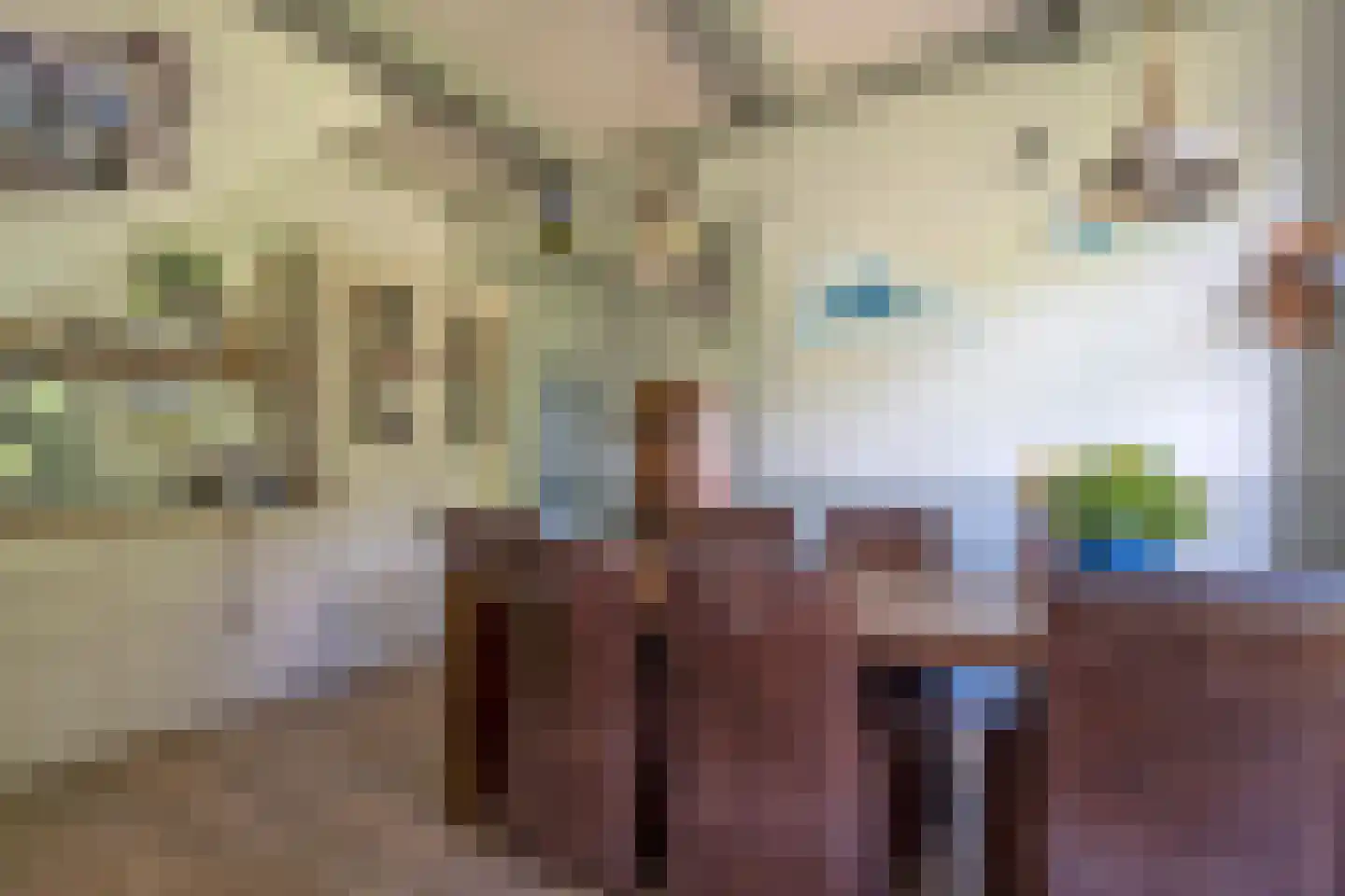 Hoofdstraat 17 Zwiggelte thumbnail 19