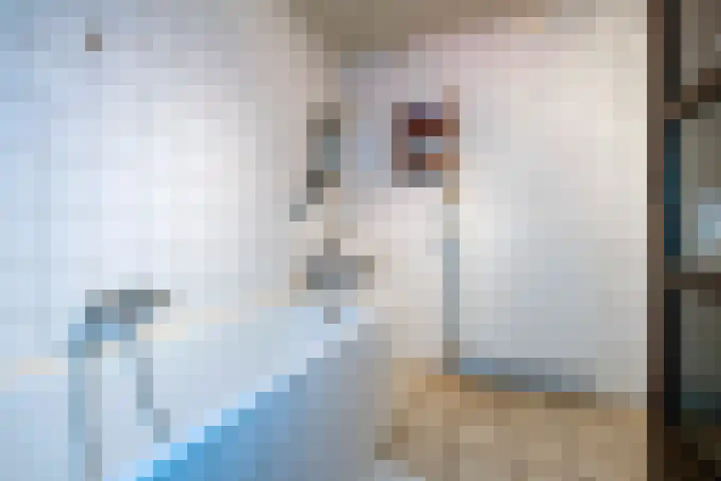 Hoofdstraat 17 Zwiggelte thumbnail 23