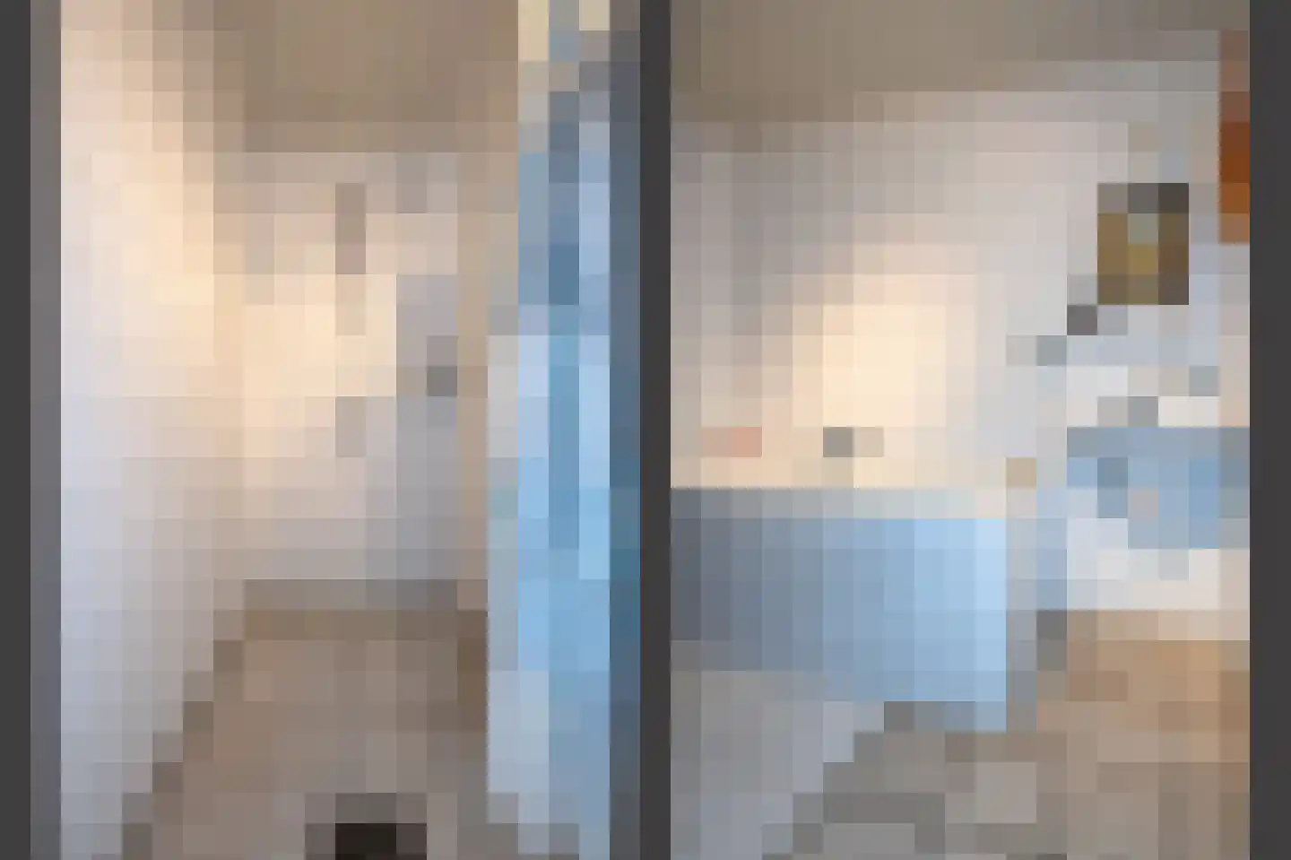 Hoofdstraat 17 Zwiggelte thumbnail 24