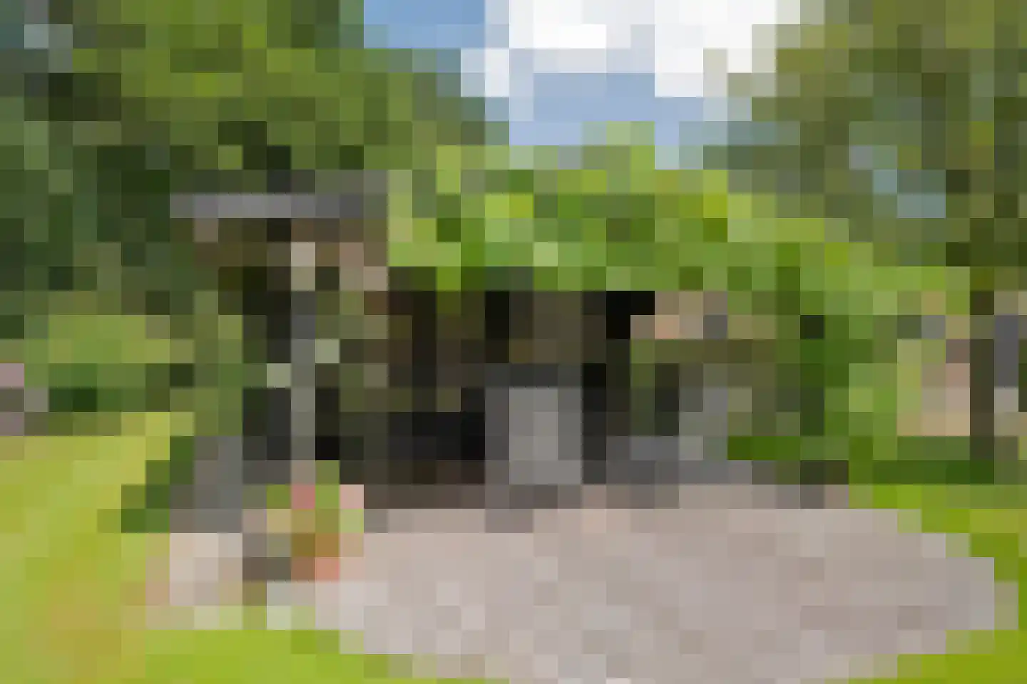 Hoofdstraat 17 Zwiggelte thumbnail 43