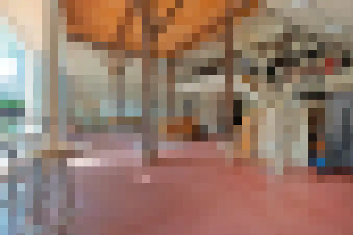 Hoofdstraat 17 Zwiggelte thumbnail 5