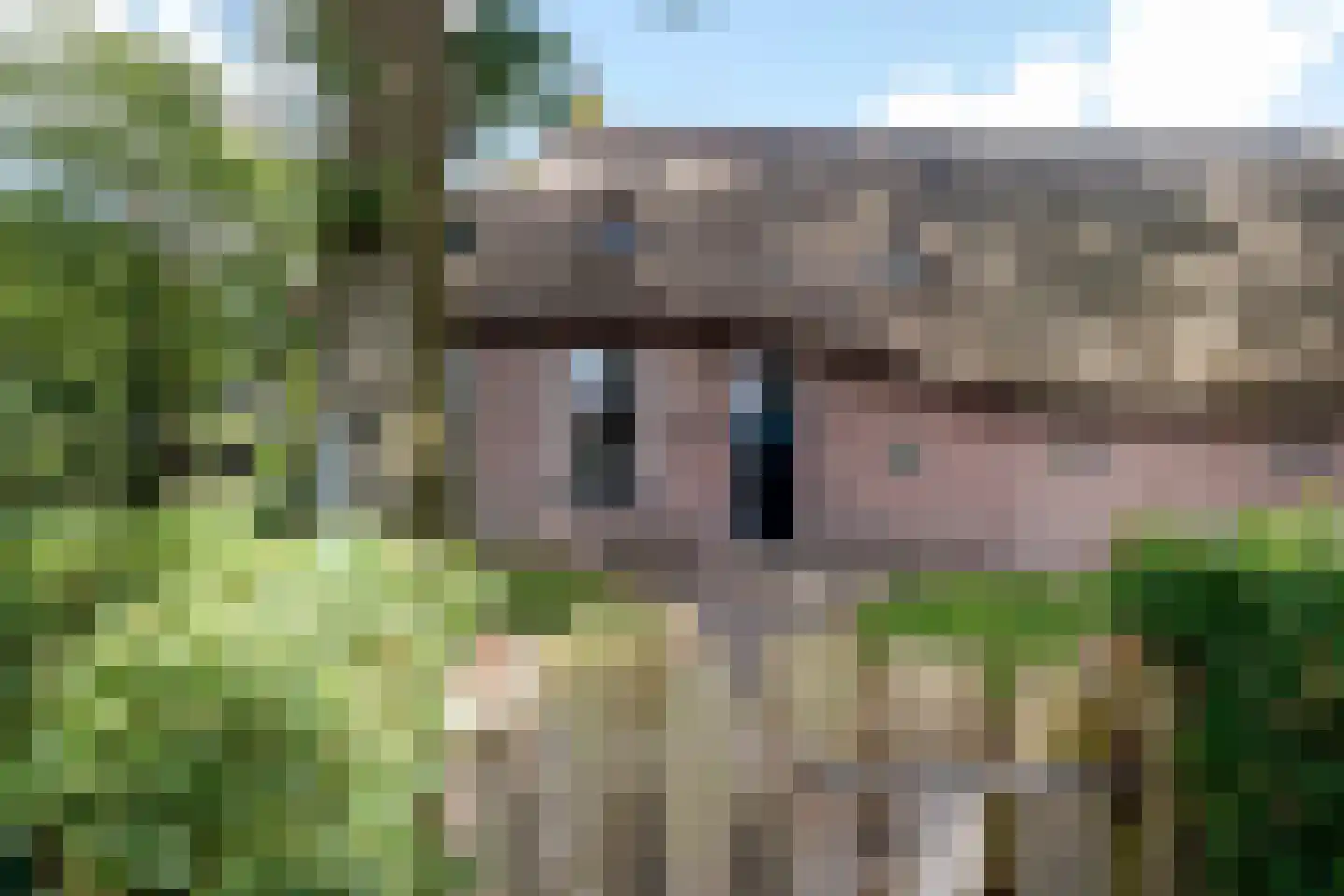 Hoofdstraat 17 Zwiggelte thumbnail 6