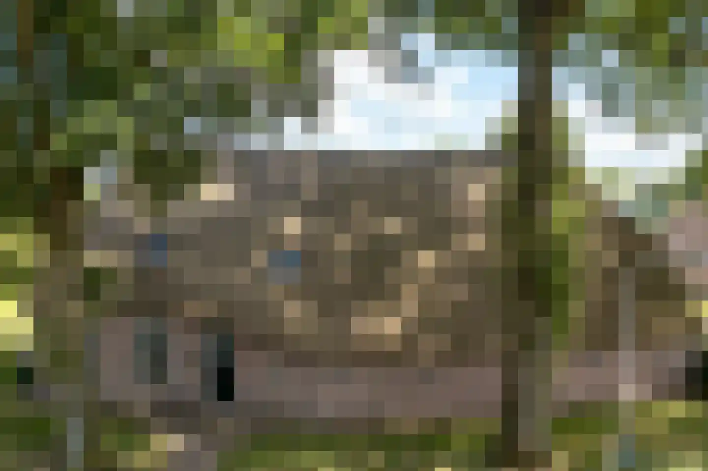 Hoofdstraat 17 Zwiggelte thumbnail 71