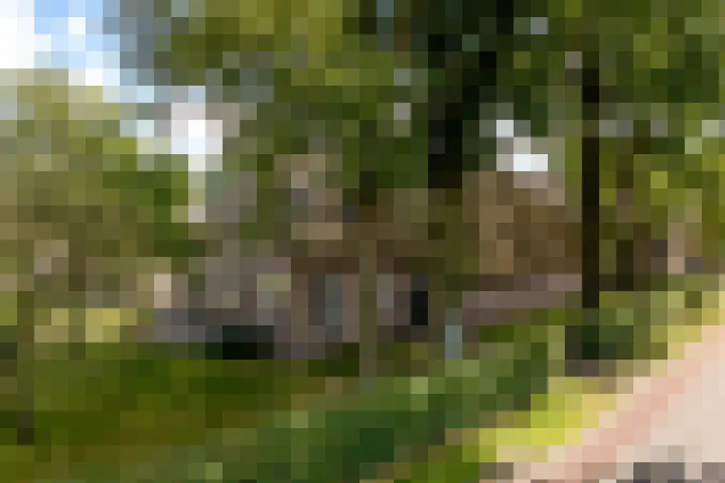 Hoofdstraat 17 Zwiggelte thumbnail 72