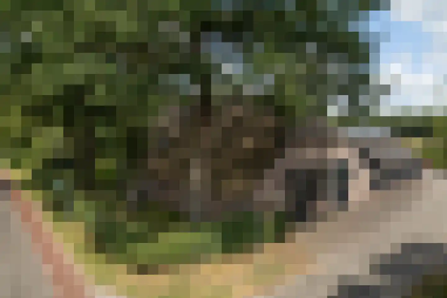 Hoofdstraat 17 Zwiggelte thumbnail 73