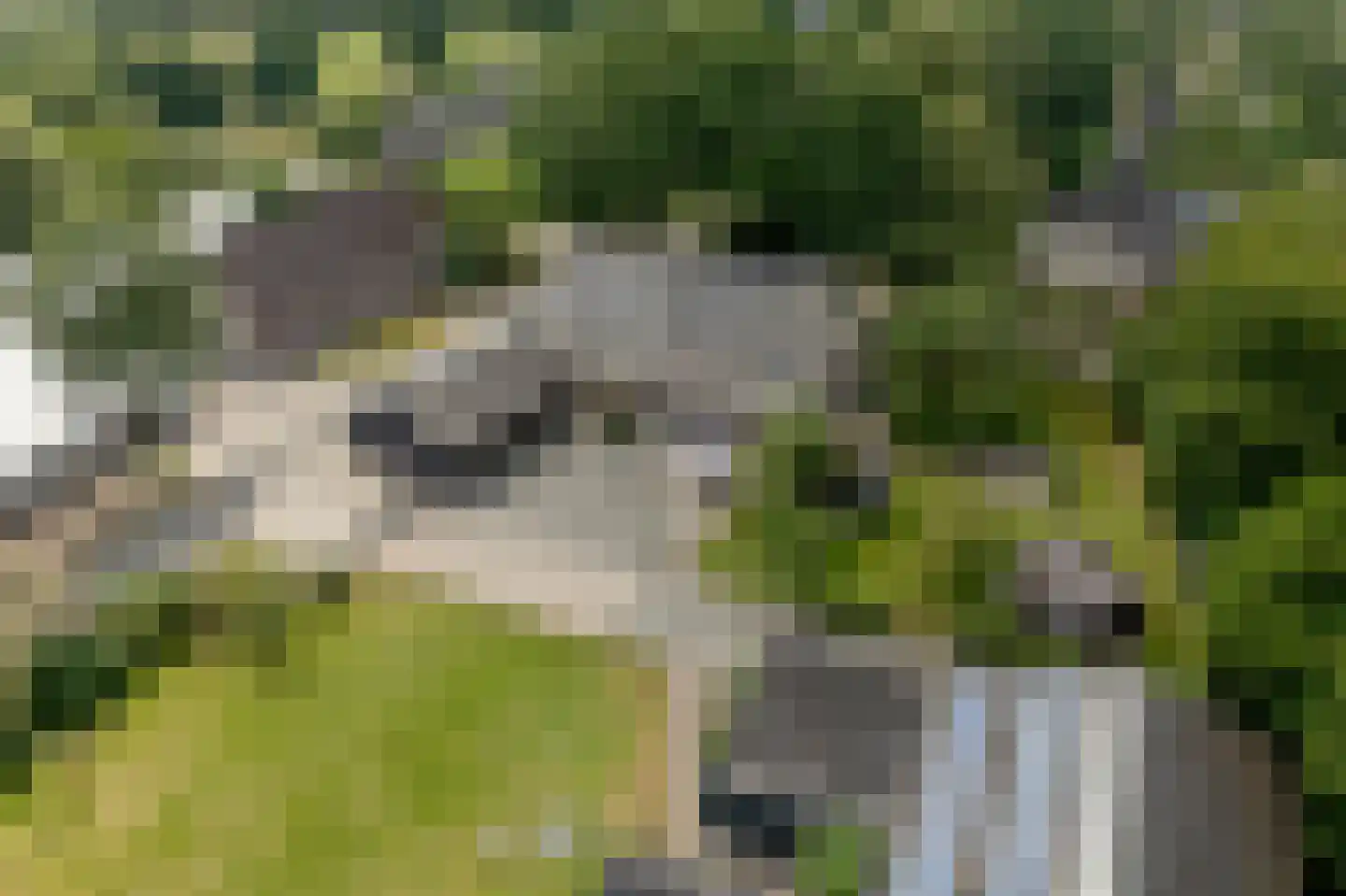 Hoofdstraat 17 Zwiggelte thumbnail 75