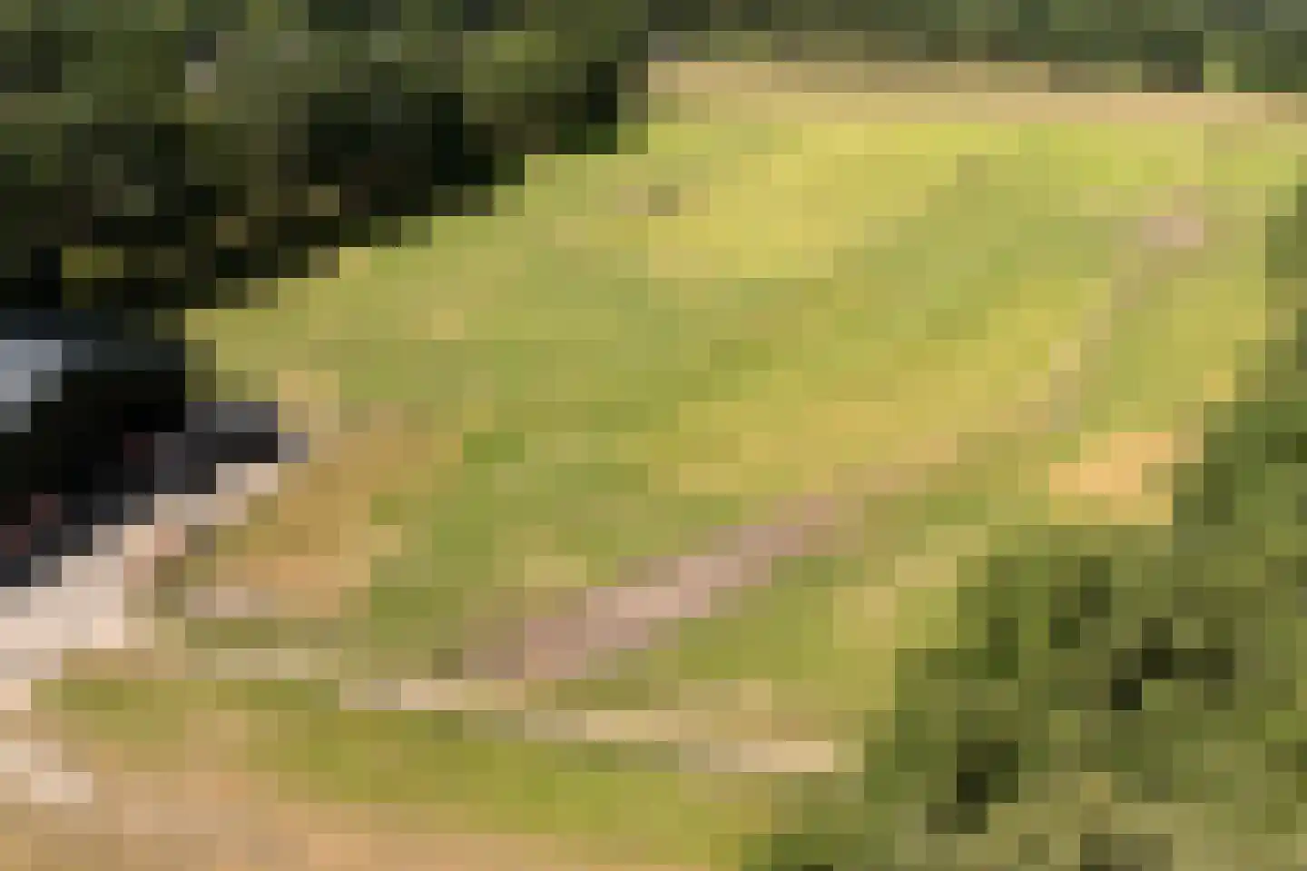 Hoofdstraat 17 Zwiggelte thumbnail 78