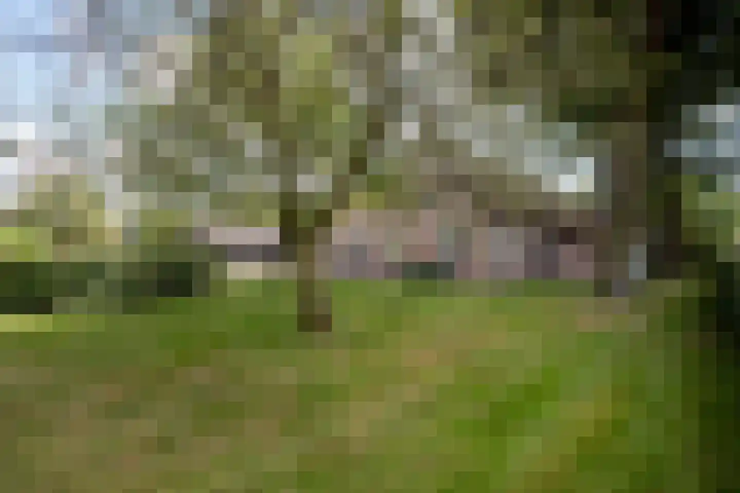 Hoofdstraat 17 Zwiggelte thumbnail 9