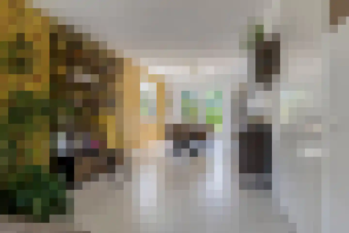 Hoofdstraat 170 B Grootegast thumbnail 12