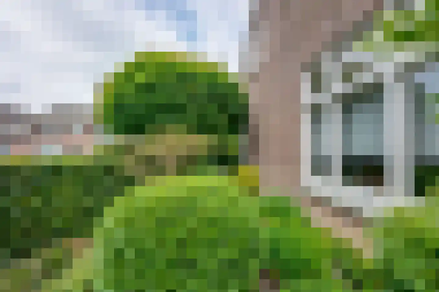 Hoofdstraat 170 Rijen thumbnail 100