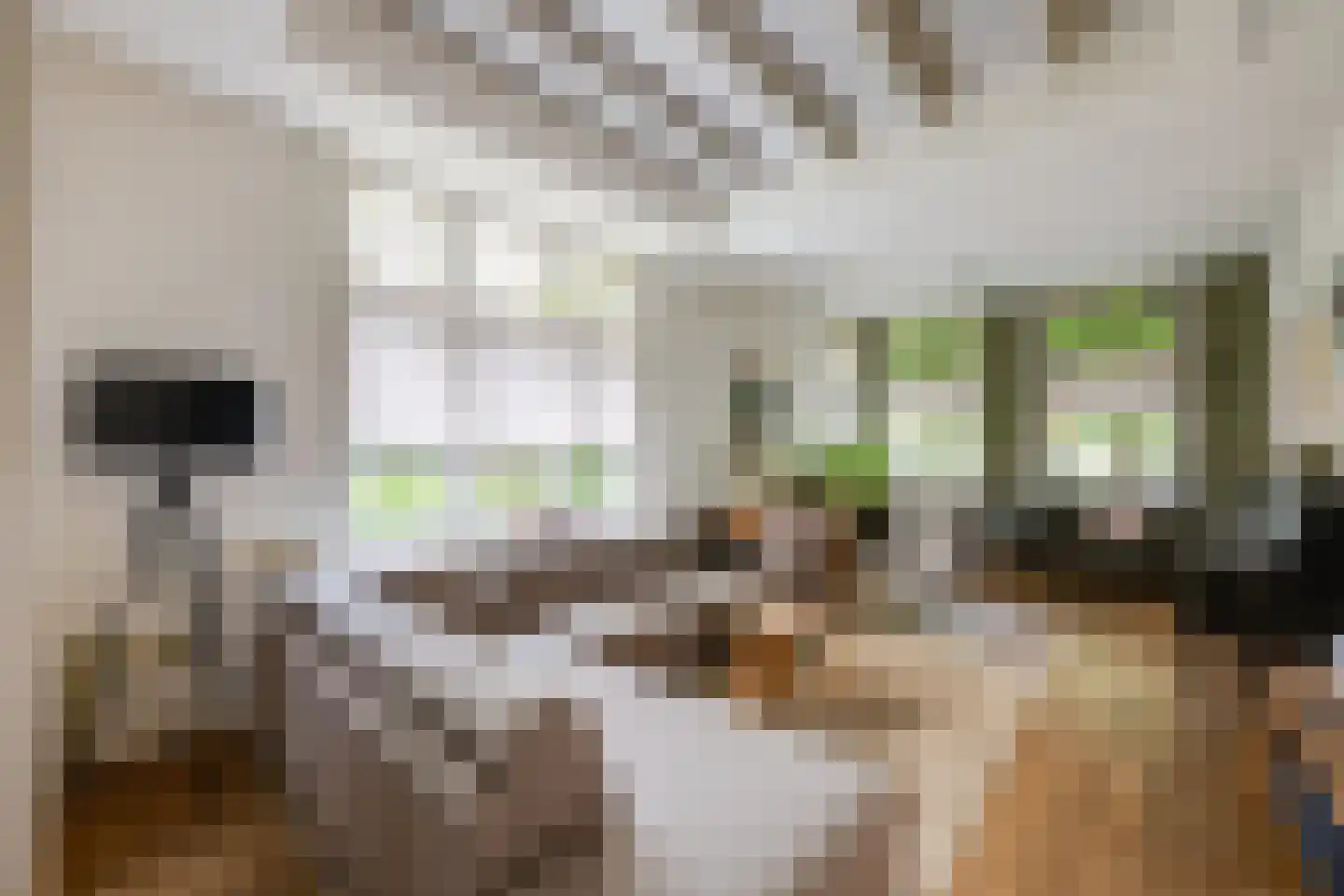 Hoofdstraat 170 Rijen thumbnail 13