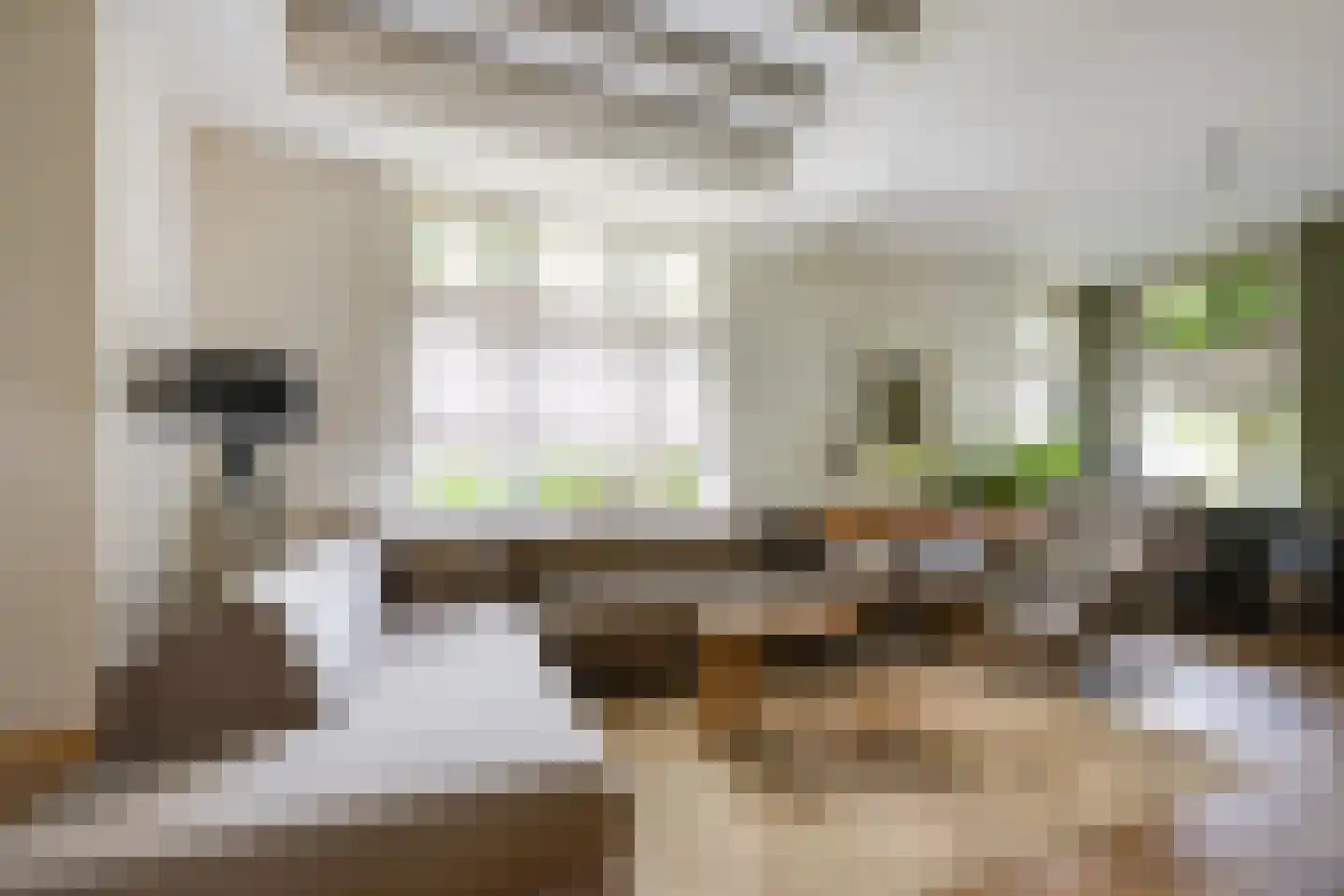 Hoofdstraat 170 Rijen thumbnail 16