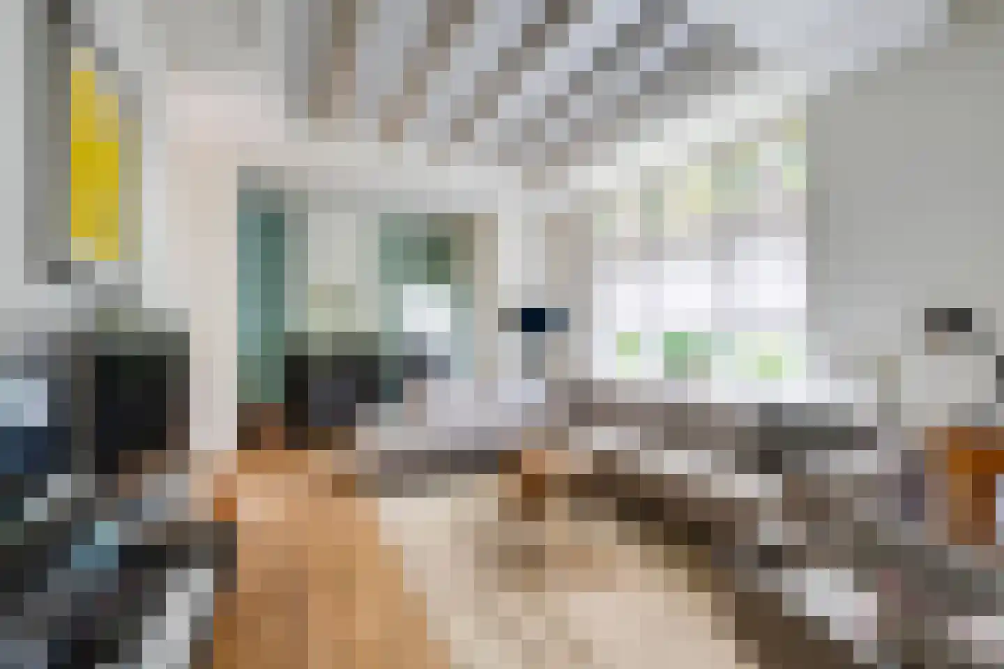 Hoofdstraat 170 Rijen thumbnail 18