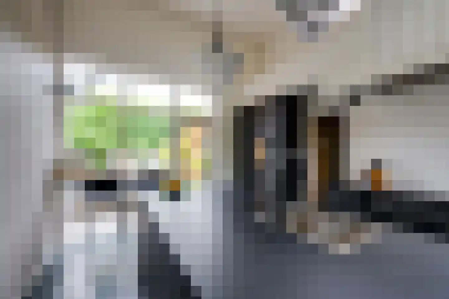 Hoofdstraat 170 Rijen thumbnail 39