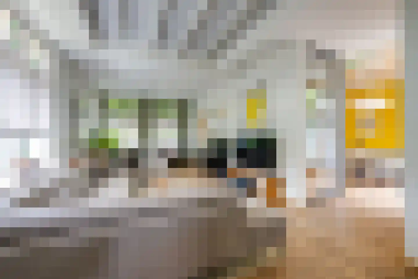 Hoofdstraat 170 Rijen thumbnail 4
