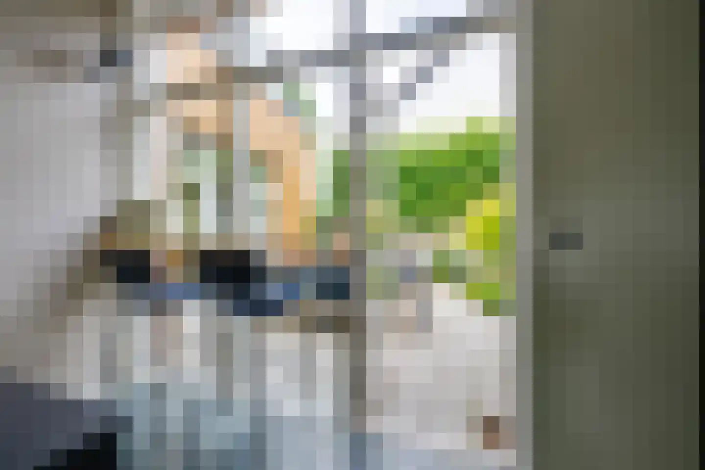 Hoofdstraat 170 Rijen thumbnail 40