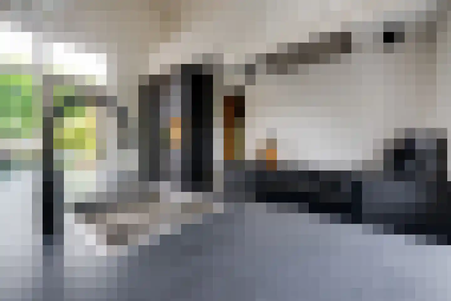 Hoofdstraat 170 Rijen thumbnail 41