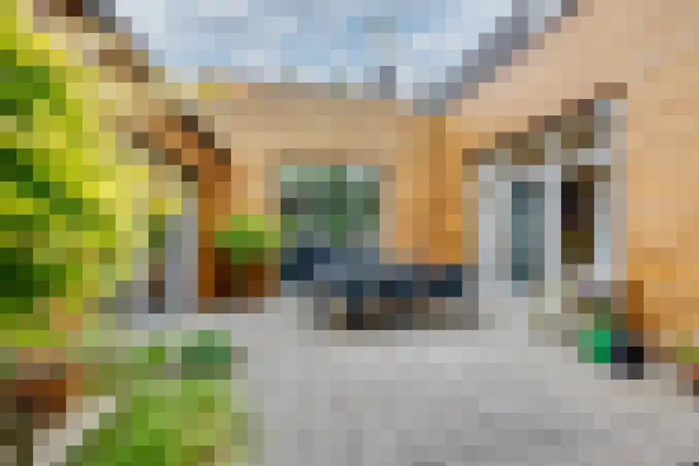 Hoofdstraat 170 Rijen thumbnail 45