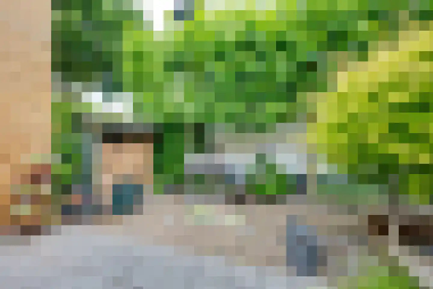 Hoofdstraat 170 Rijen thumbnail 46