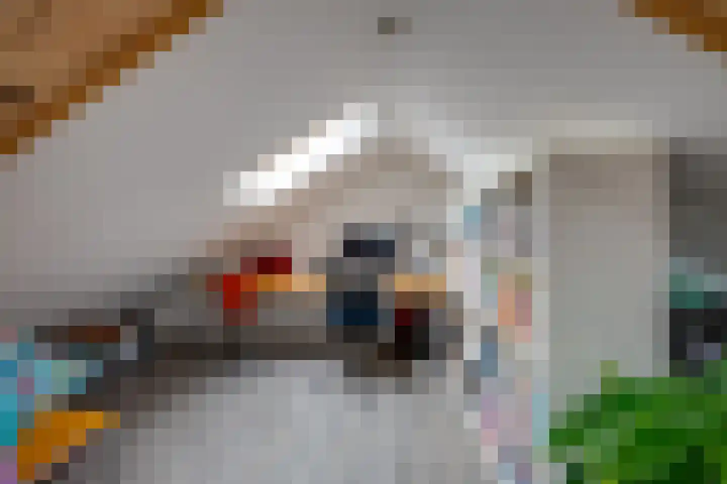 Hoofdstraat 170 Rijen thumbnail 69