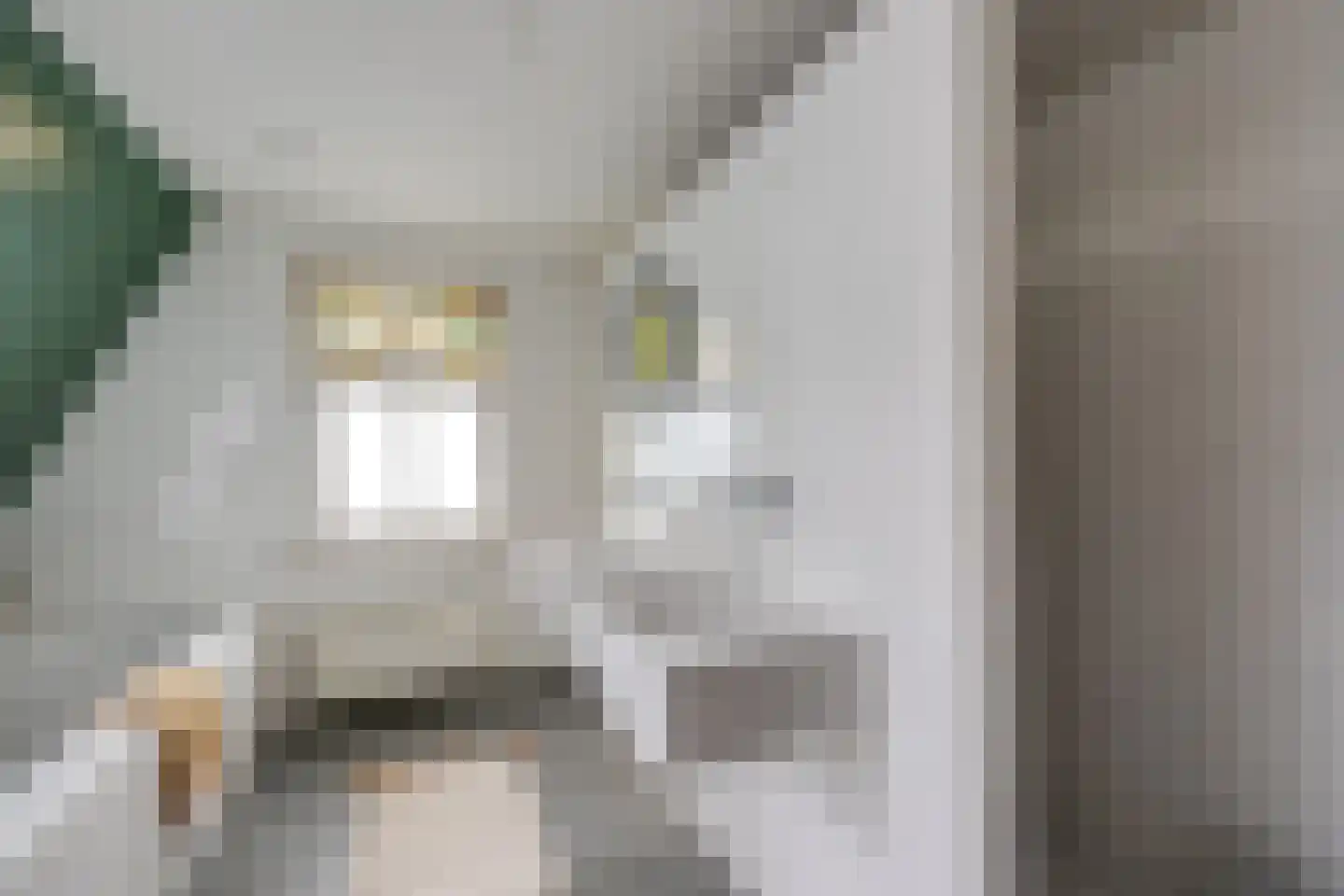 Hoofdstraat 170 Rijen thumbnail 89