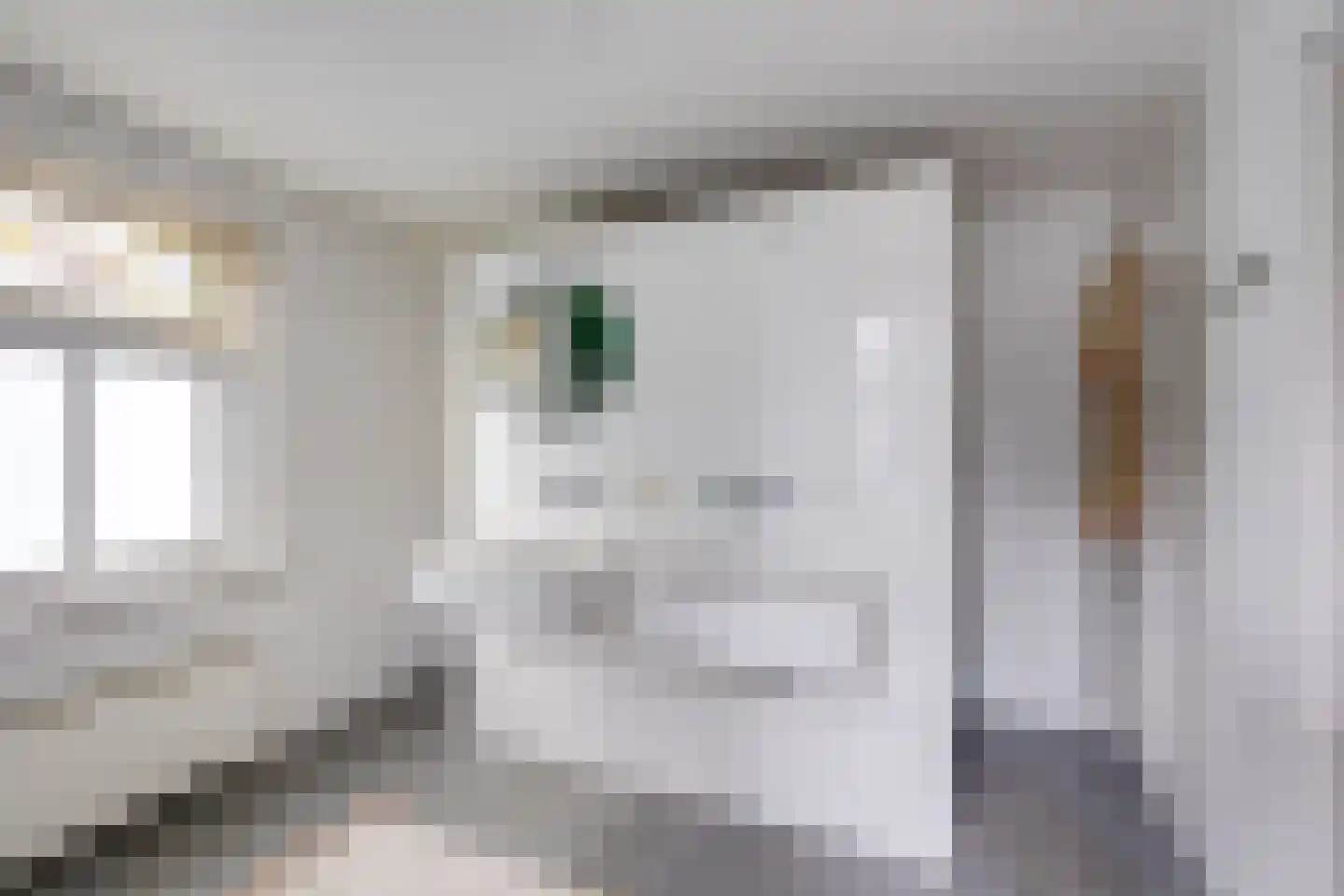 Hoofdstraat 170 Rijen thumbnail 90