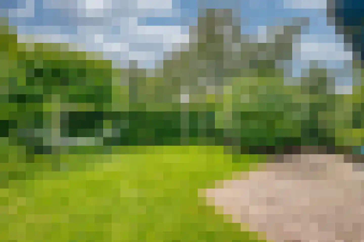 Hoofdstraat 170 Rijen thumbnail 96
