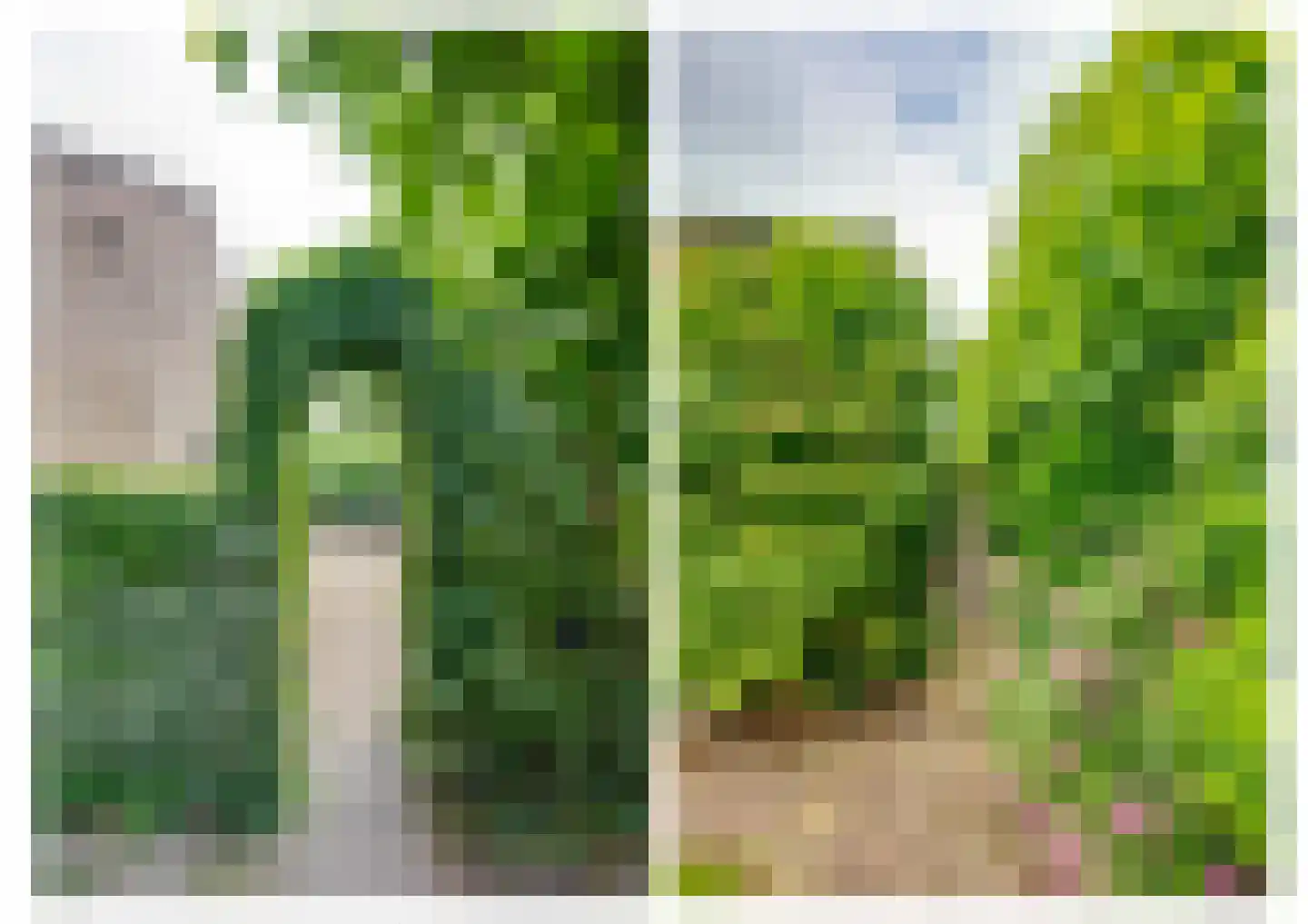 Hoofdstraat 170 Rijen thumbnail 99