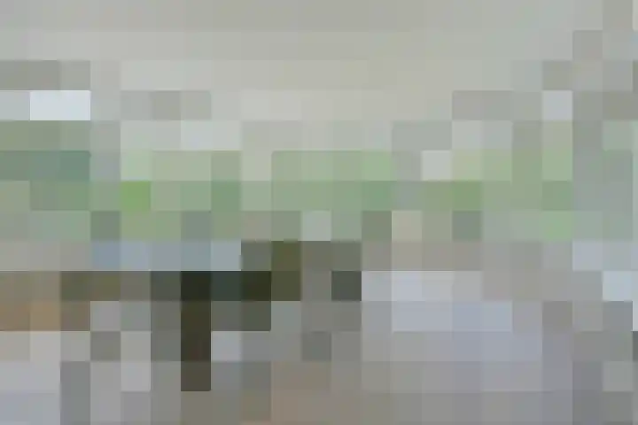 Hoofdstraat 172 Herveld thumbnail 12